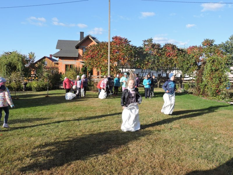 Święto pieczonego ziemniaka 2016